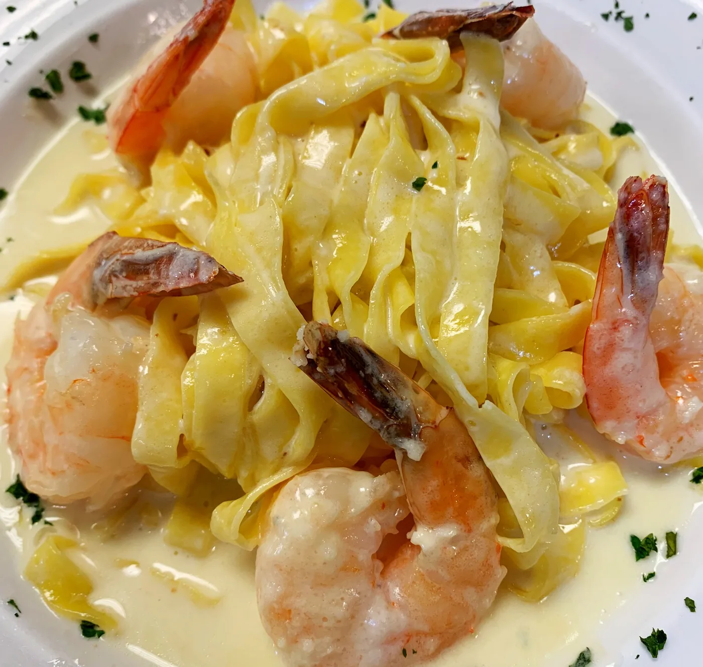 Fettuccine alfredo at Vincenzo on International Drive